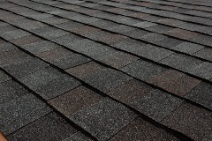 Titan XT - Black Walnut (Dallas) angled