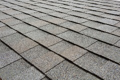 Titan XT - Olde English Pewter (Dallas) angled