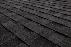 Titan XT - Rustic Black (Dallas) angled