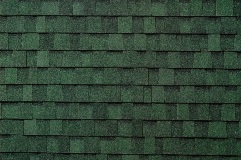 Titan XT - Rustic Evergreen (Dallas)