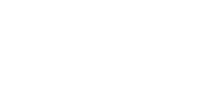 Stormfighter FLEX Logo